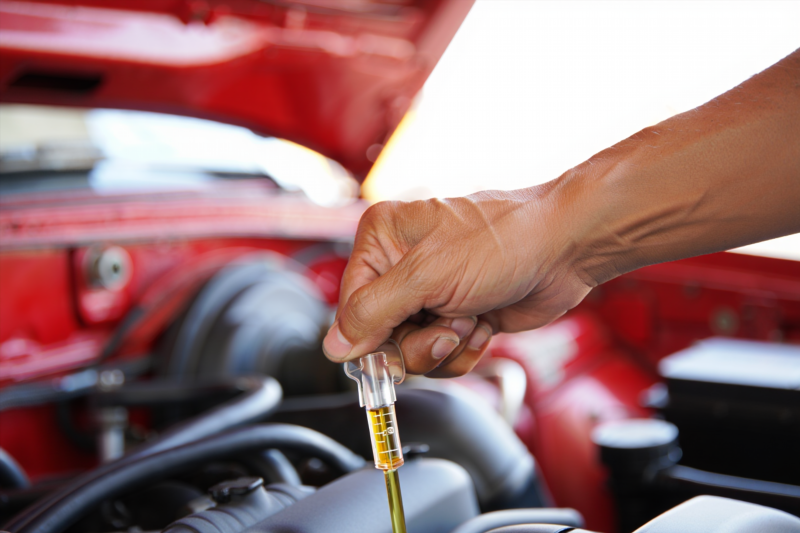 6faed7e086cc0a6725f1c153fc769489